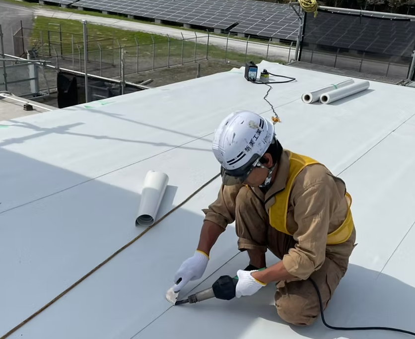 株式会社新美公式HPの画像